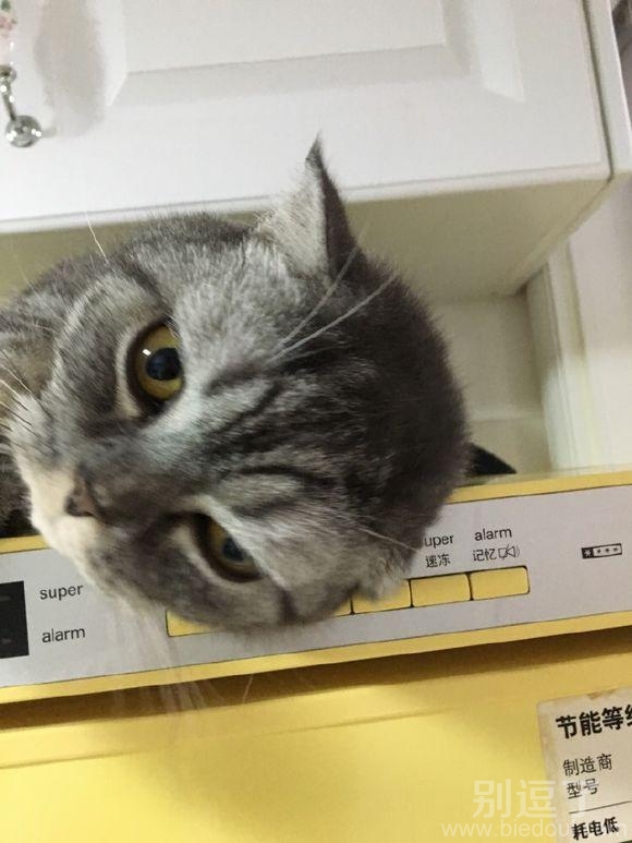 就是看你呢,你瞅啥 就是看你呢,你瞅啥