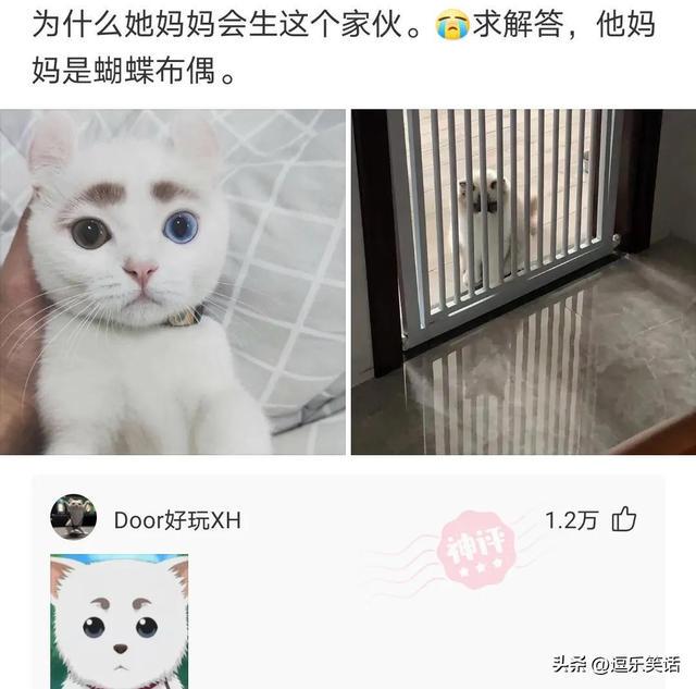 “27岁江西表姐的彩礼,别的省也是这样?”有嫉妒的吗?哈哈哈 “27岁江西表姐的彩礼,别的省也是这样?”有嫉妒的吗?哈哈哈