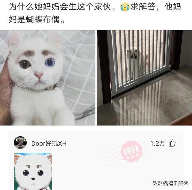 “27岁江西表姐的彩礼，别的省也是这样？”有嫉妒的吗？哈哈哈