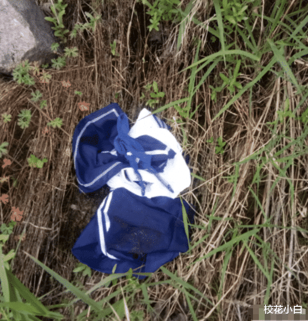 早上我去公园看到的，这里发生了啥啊？哈哈哈