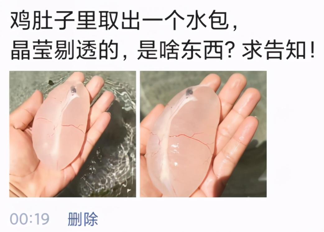 “妹子光顾着摆弄头发,连衣服的扣子开了还不知道.....”我该怎样提醒她? “妹子光顾着摆弄头发,连衣服的扣子开了还不知道.....”我该怎样提醒她?