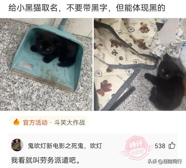 爆笑神回复:什么是顶级的思维? 爆笑神回复:什么是顶级的思维?