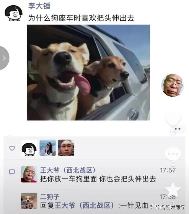 爆笑神回复:什么是顶级的思维? 爆笑神回复:什么是顶级的思维?