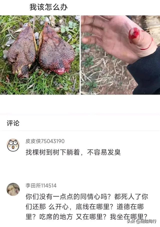 爆笑神回复:什么是顶级的思维? 爆笑神回复:什么是顶级的思维?