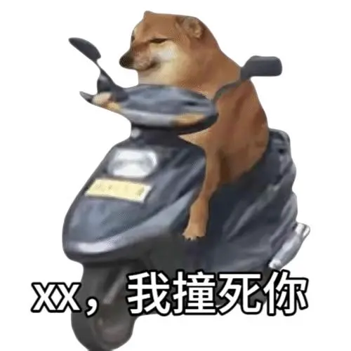 轻松一刻：人生处处是惊喜，看看是谁视奸你！