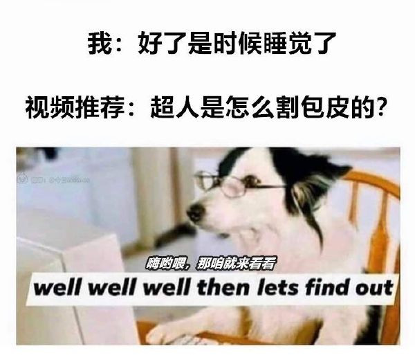 轻松一刻：人生处处是惊喜，看看是谁视奸你！