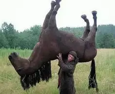 轻松一刻：人生处处是惊喜，看看是谁视奸你！