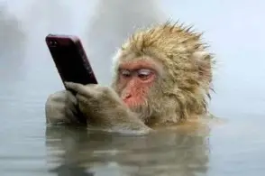 轻松一刻：人生处处是惊喜，看看是谁视奸你！