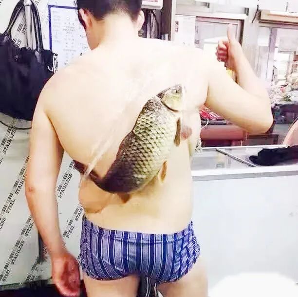 每日趣图:大型翻车现场,这也太尴尬了 每日趣图:大型翻车现场,这也太尴尬了