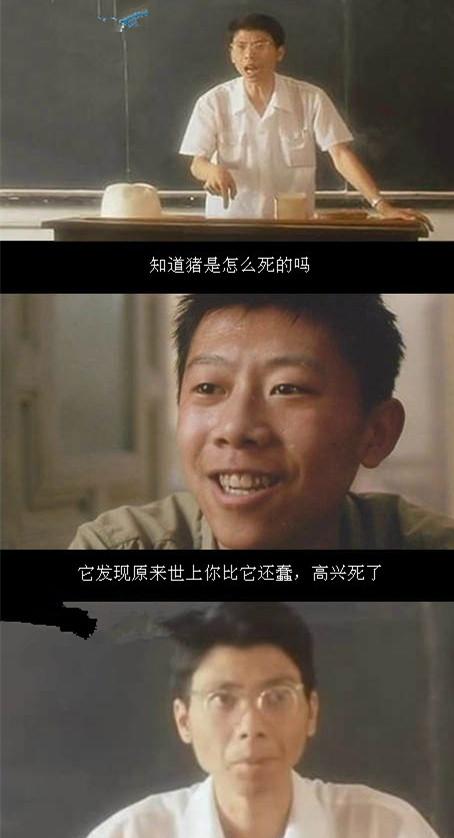 猪是笑死的 猪是笑死的