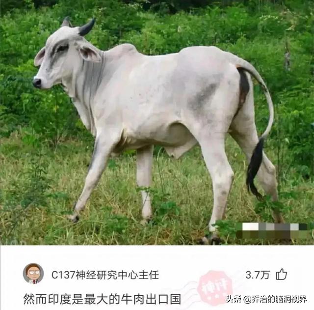 “医护人员面对病人的裸体,心里真的会毫无波澜吗?”评论笑死了 “医护人员面对病人的裸体,心里真的会毫无波澜吗?”评论笑死了