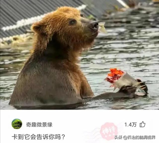 “医护人员面对病人的裸体,心里真的会毫无波澜吗?”评论笑死了 “医护人员面对病人的裸体,心里真的会毫无波澜吗?”评论笑死了