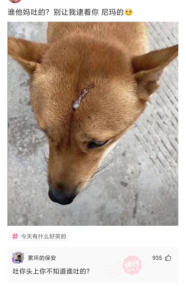 神回复:我女友跟人家跑去旅游了,还发了朋友圈,请问这是什么车 神回复:我女友跟人家跑去旅游了,还发了朋友圈,请问这是什么车