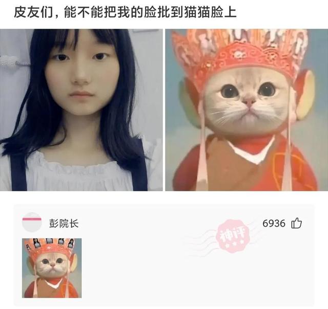 神回复:我女友跟人家跑去旅游了,还发了朋友圈,请问这是什么车 神回复:我女友跟人家跑去旅游了,还发了朋友圈,请问这是什么车