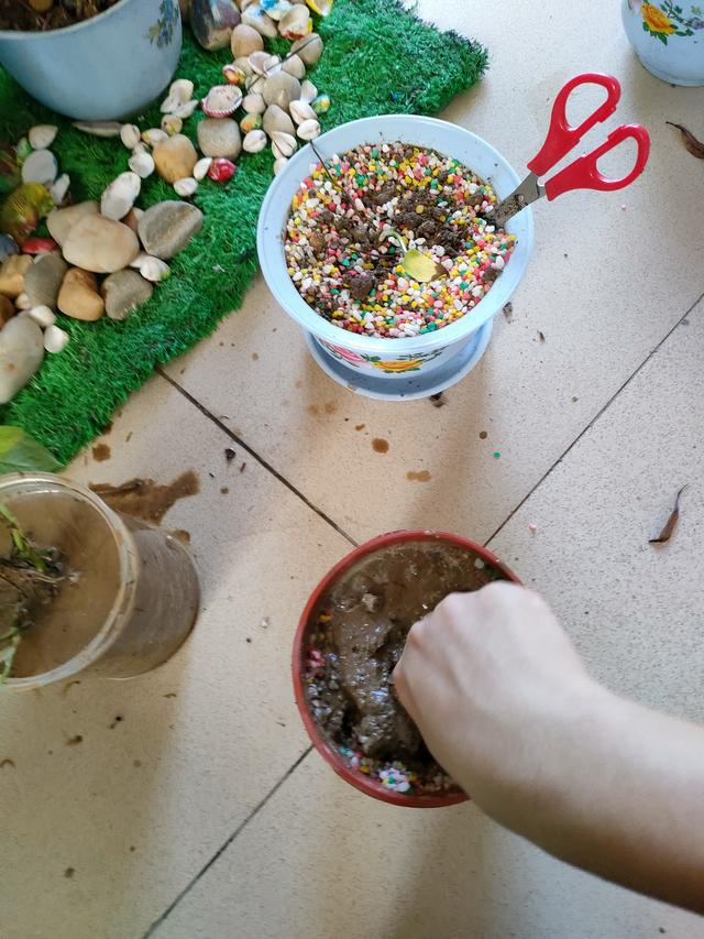 搞笑神评:40CM的裙子你们敢穿吗?太短了,我接受不了 搞笑神评:40CM的裙子你们敢穿吗?太短了,我接受不了