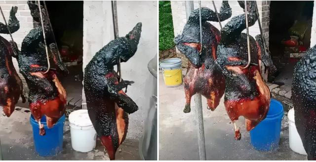 搞笑神评:40CM的裙子你们敢穿吗?太短了,我接受不了 搞笑神评:40CM的裙子你们敢穿吗?太短了,我接受不了