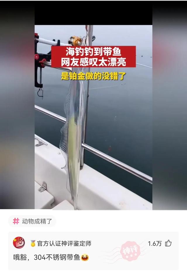 神回复:刚买的车,下雨就看不见!4s店让找教练,教练让我去医院 神回复:刚买的车,下雨就看不见!4s店让找教练,教练让我去医院