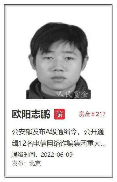 轻松一刻:建议给年轻人免费发房,专家终于说人话了 轻松一刻:建议给年轻人免费发房,专家终于说人话了