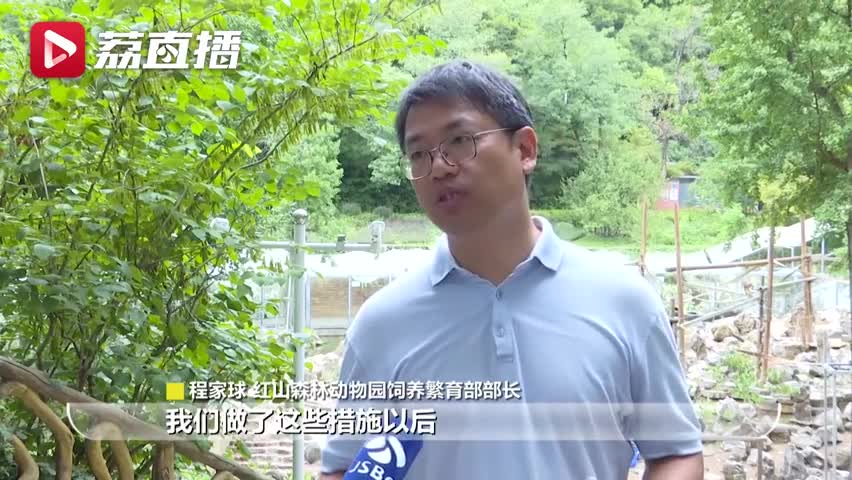 轻松一刻：建议给年轻人免费发房，专家终于说人话了