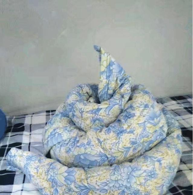 网友晒奇葩室友“尬照”,看评论笑到劈叉,哎呀妈呀脑瓜疼 网友晒奇葩室友“尬照”,看评论笑到劈叉,哎呀妈呀脑瓜疼