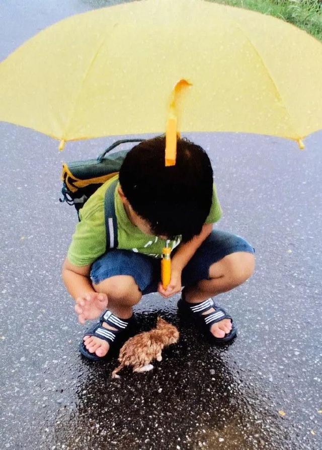 冷战归冷战不能影响吃饭 | 冷段子2268 & 去年今日1909 冷战归冷战不能影响吃饭 | 冷段子2268 & 去年今日1909