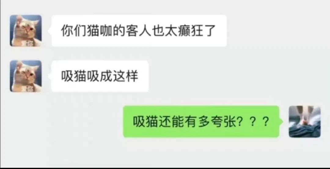 不能穿热裤上公交车么？腿粗就别穿这种裤子了！丨搞笑图