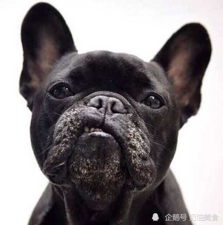 搞笑段子:陪哥们去相亲,女方要礼金10万块,一算账她无语了! 搞笑段子:陪哥们去相亲,女方要礼金10万块,一算账她无语了!