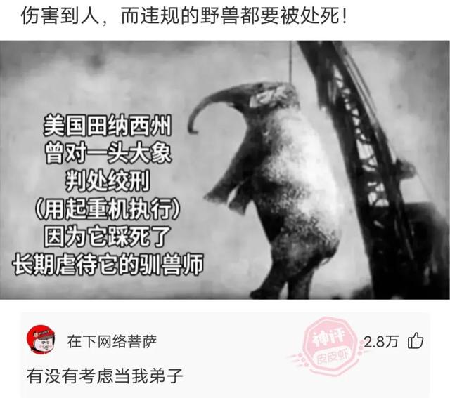 神回复:外国人无法理解的中国菜 神回复:外国人无法理解的中国菜