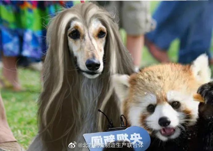 有很多以前听着很正常的东西现在都变味了 有很多以前听着很正常的东西现在都变味了