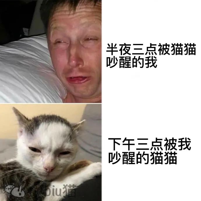 有很多以前听着很正常的东西现在都变味了 有很多以前听着很正常的东西现在都变味了