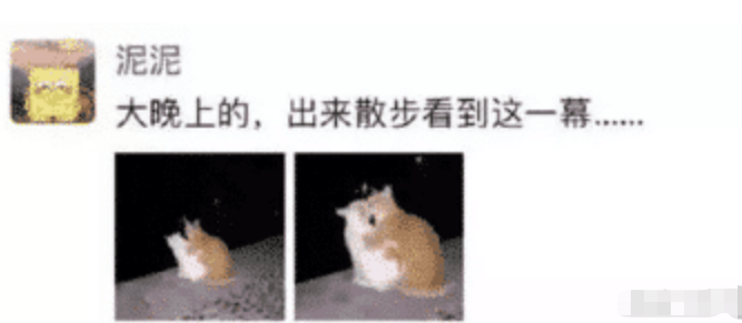 “情侣去私人影院干嘛?可以做这么多嘛,涨知识了!”哈哈哈哈 “情侣去私人影院干嘛?可以做这么多嘛,涨知识了!”哈哈哈哈