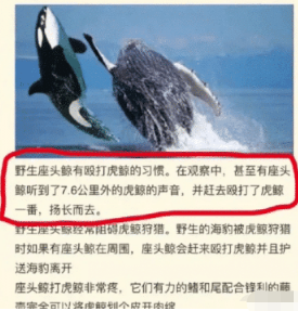 “情侣去私人影院干嘛?可以做这么多嘛,涨知识了!”哈哈哈哈 “情侣去私人影院干嘛?可以做这么多嘛,涨知识了!”哈哈哈哈