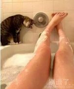 喵星人，你愁啥？