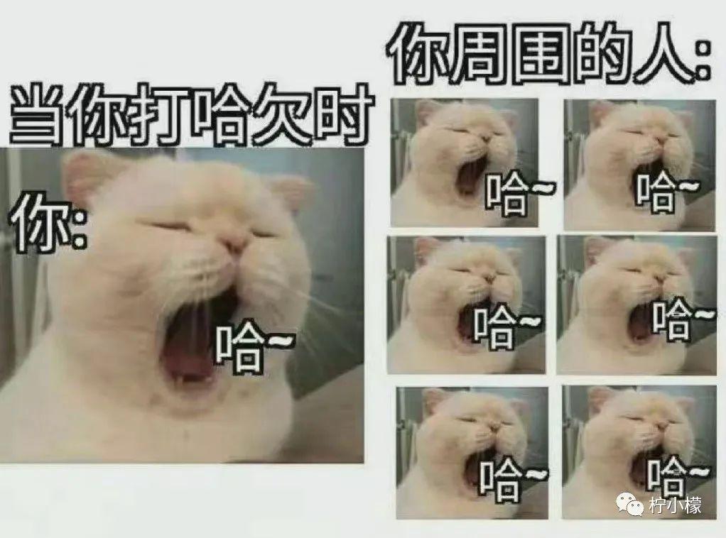 大侠后宫:“无意中发了个朋友圈,竟发现女友出轨的秘密?!”哈哈哈电视剧都不敢这么演! 大侠后宫:“无意中发了个朋友圈,竟发现女友出轨的秘密?!”哈哈哈电视剧都不敢这么演!