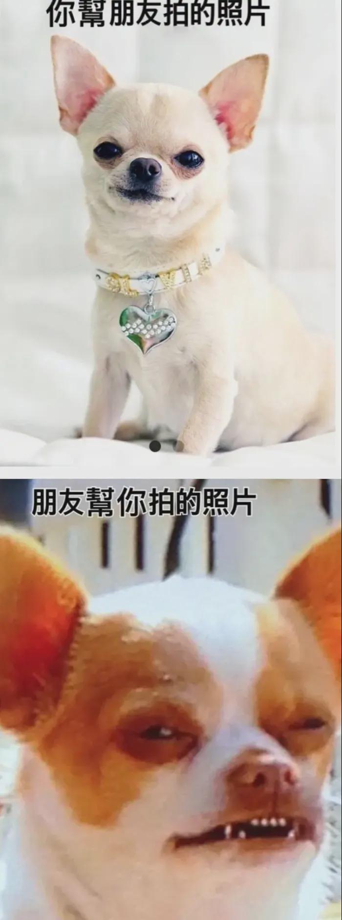 “在你165cm处亲一口,是哪个部位?”哇哈哈哈...网友真调皮~ “在你165cm处亲一口,是哪个部位?”哇哈哈哈...网友真调皮~