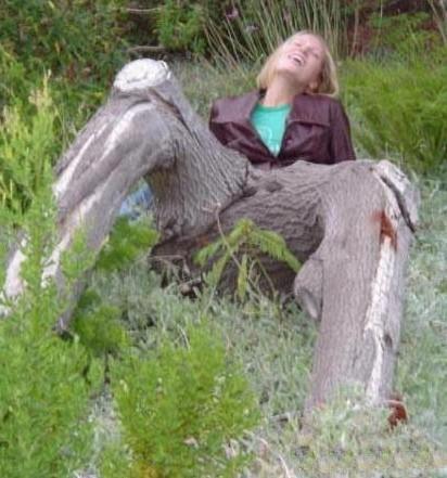 节操都去哪了 节操都去哪了