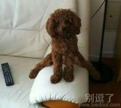 想吵都吵不起来了