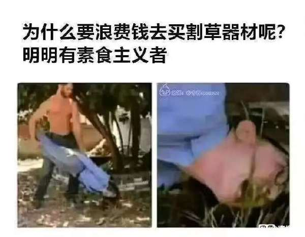 轻松一刻：过节就过节，别整得怪不好意思的…