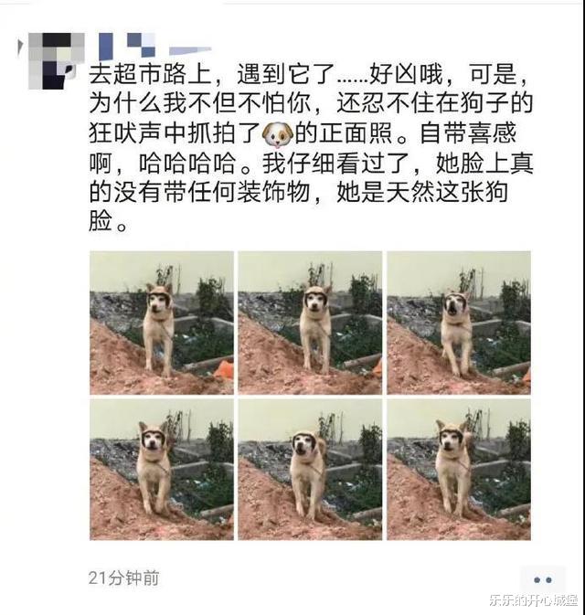 “在爷爷仓库里发现的，这最少也是个营长吧？”网友：最低师长！哈哈哈～