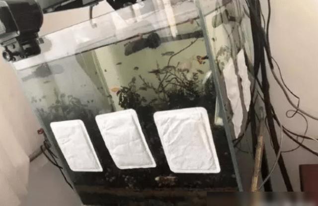 女友来我家过夜之后,觉得她很恶心!突然不喜欢她了!太过分了吧 女友来我家过夜之后,觉得她很恶心!突然不喜欢她了!太过分了吧