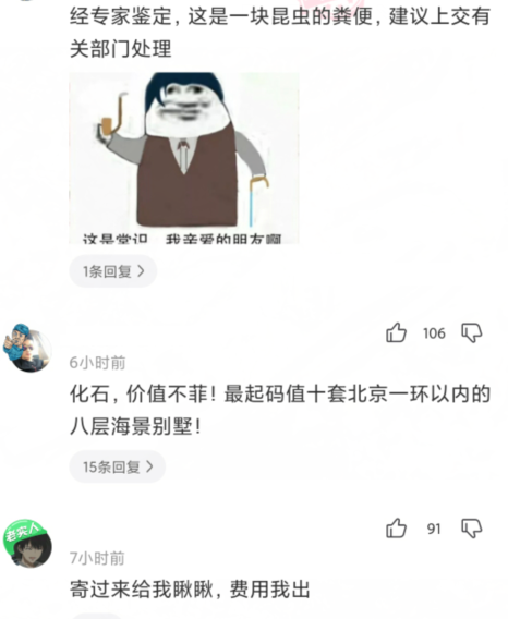 “河里捡的石头,样子像极了化石...”哈哈哈感觉评论在骗我! “河里捡的石头,样子像极了化石...”哈哈哈感觉评论在骗我!