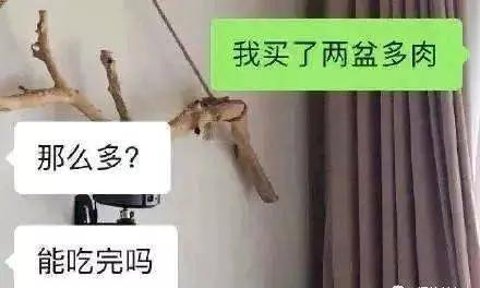 如何一句话把天聊死,代入感太强了,哈哈哈哈哈 如何一句话把天聊死,代入感太强了,哈哈哈哈哈