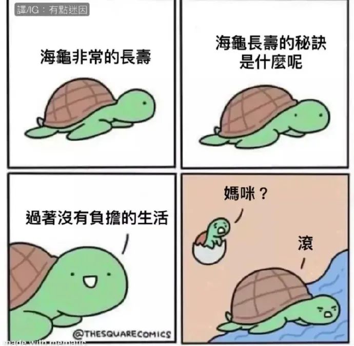 神图:思路一变天地宽 神图:思路一变天地宽