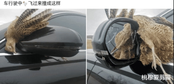 婚前体检,护士是我的小姨子,检查完她小声告诉我… 婚前体检,护士是我的小姨子,检查完她小声告诉我…