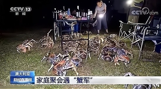 “第一次来老丈人家下厨,看见有鱼就炖了!”准备离婚协议吧…… “第一次来老丈人家下厨,看见有鱼就炖了!”准备离婚协议吧……