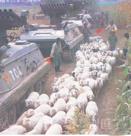 牛呀、羊呀、送到哪里去呀 牛呀、羊呀、送到哪里去呀