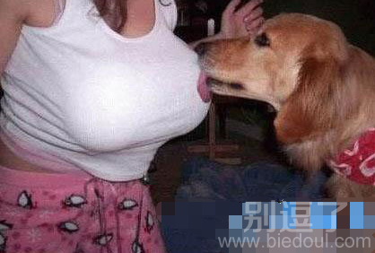 汪星人拿开你的舌头让我来 汪星人拿开你的舌头让我来