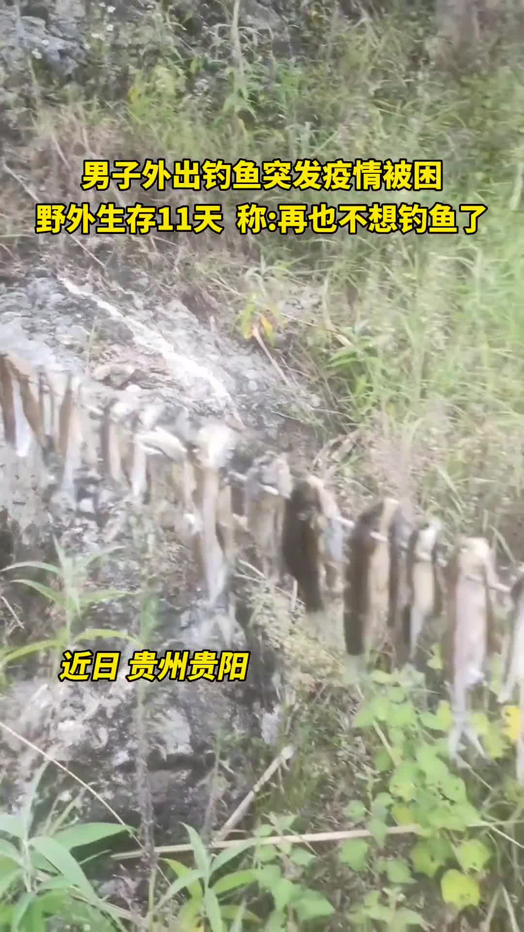 轻松一刻:进一个人的心很难,但进这样的床很简单 轻松一刻:进一个人的心很难,但进这样的床很简单