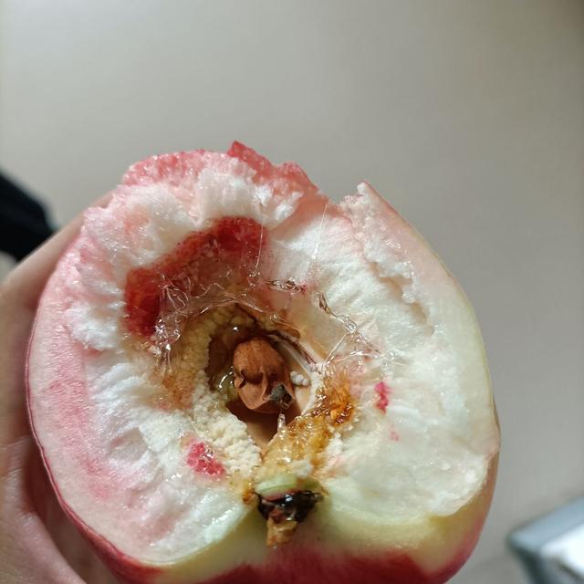 新交的女朋友,虽然有点丑,但她说有个富二代的哥哥,我有点不信 新交的女朋友,虽然有点丑,但她说有个富二代的哥哥,我有点不信