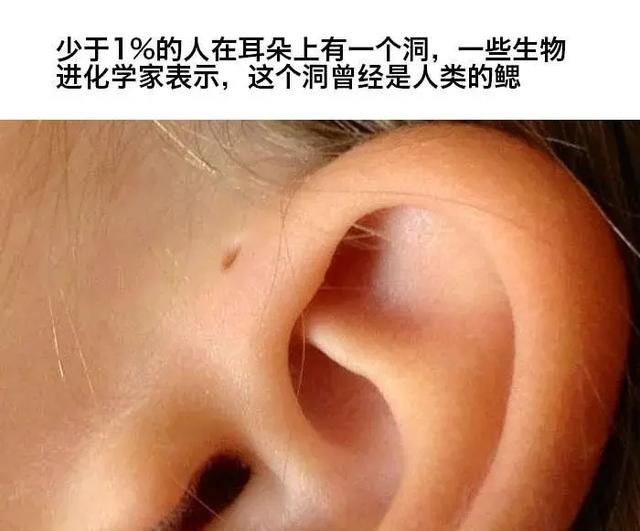 新交的女朋友,虽然有点丑,但她说有个富二代的哥哥,我有点不信 新交的女朋友,虽然有点丑,但她说有个富二代的哥哥,我有点不信